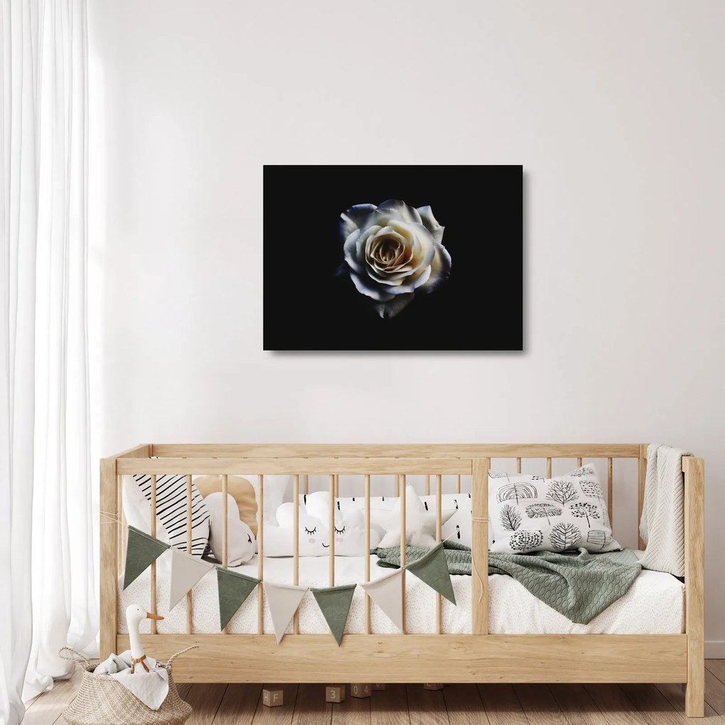 Tablou pe sticlă cu trandafir alb (70x50 cm)