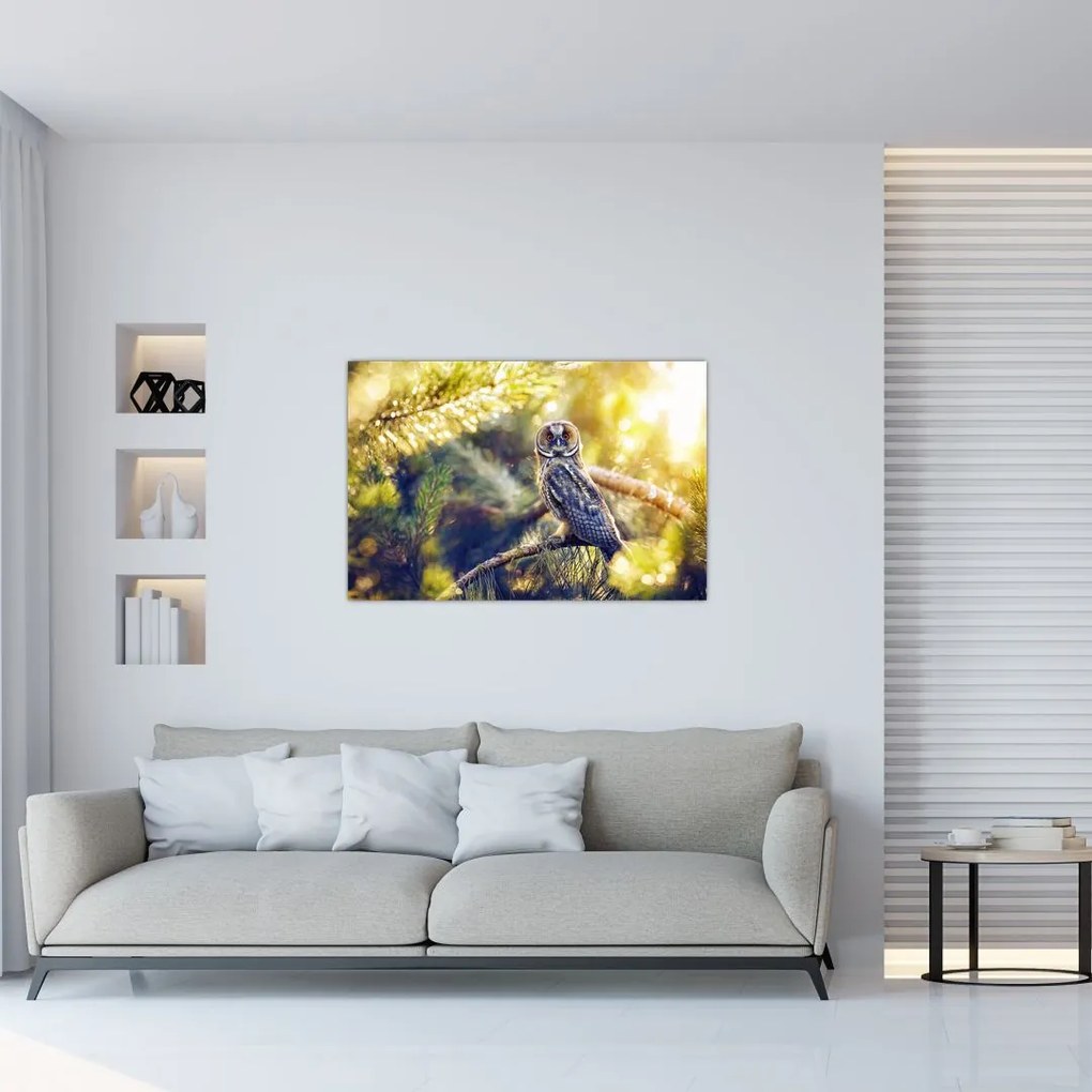 Tablou - Bufniță în copac (90x60 cm)