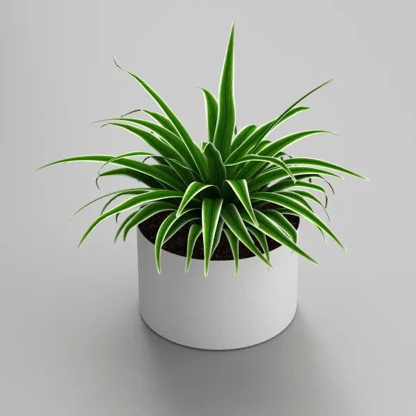 Ghiveci 11x17 cm alb