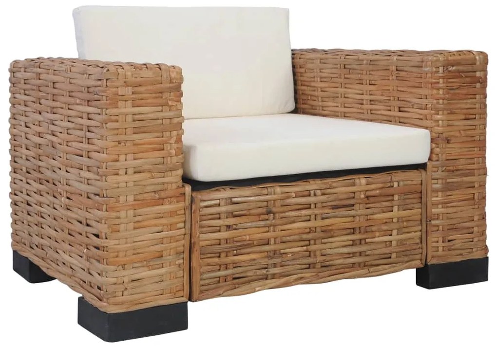 278625 vidaXL Set canapea cu perne, 2 piese, ratan natural