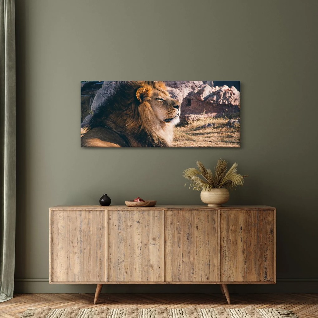 Tablou cu leul dormind (120x50 cm)