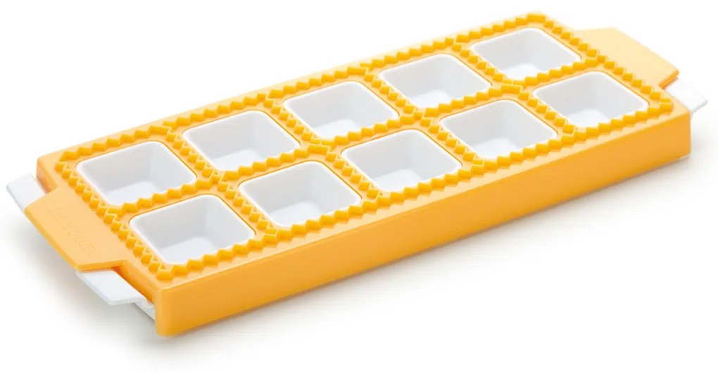 Tescoma Formă pentru ravioli pătrate DELÍCIA, 10buc.