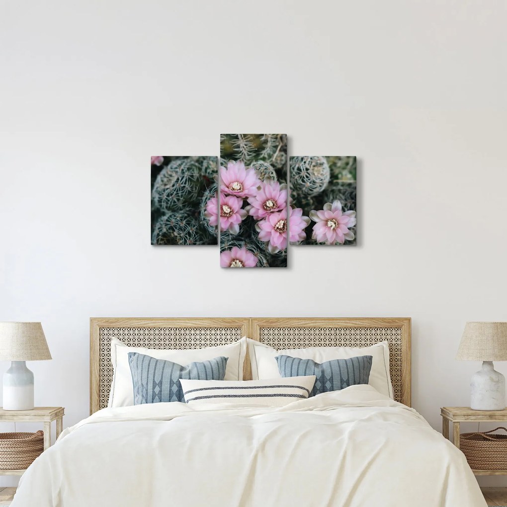 Tablou floare de cactus (90x60 cm)