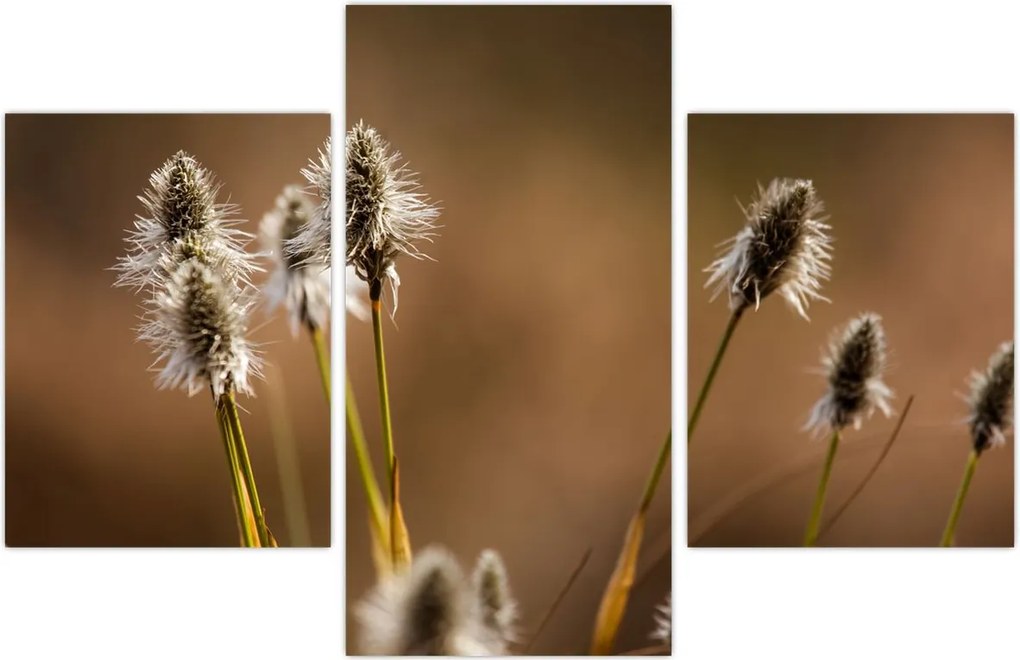 Tablou - Iarbă (90x60 cm)