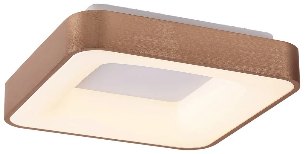 Plafoniera LED camera de zi, sufragerie, dormitor Carmella 5056 RX