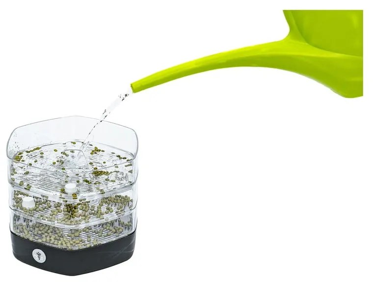 Bol de germinare Flower Lover Mungo, gri antracit