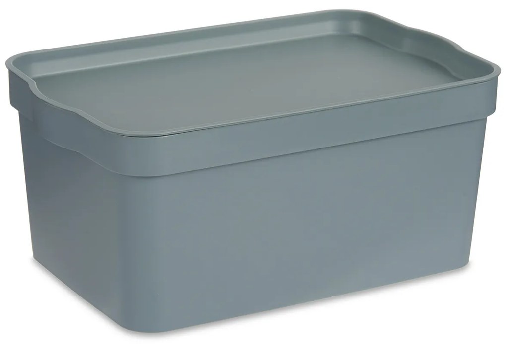 Cutie de depozitare din plastic, 7,5 l