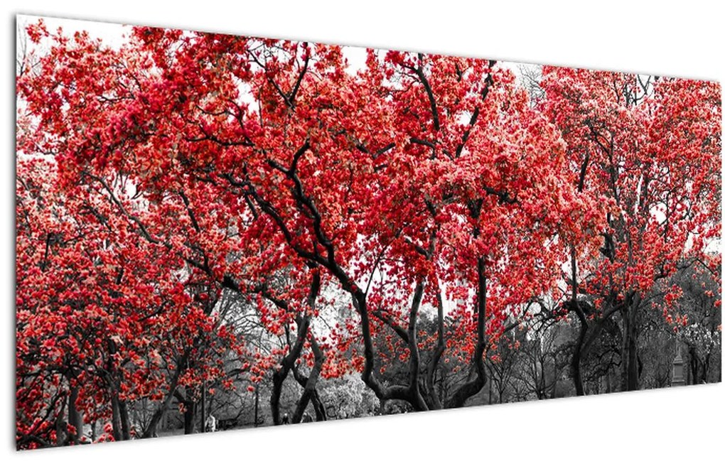 Tablou - Copacii roșii, Central Park, New York (120x50 cm)