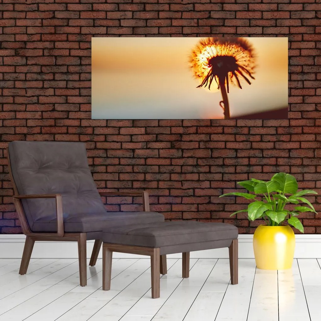 Tablou - Păpădie la apus de soare (120x50 cm)