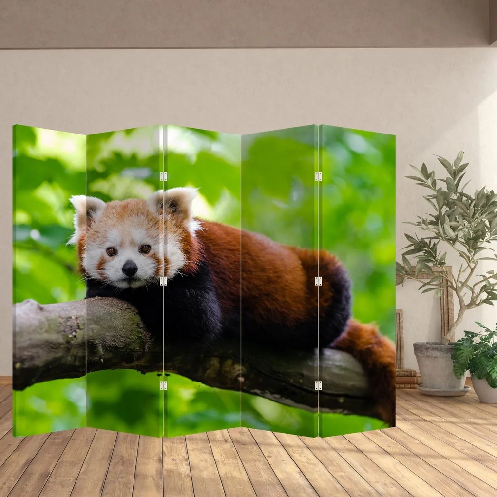Paravan - Panda roșie (210x170 cm)