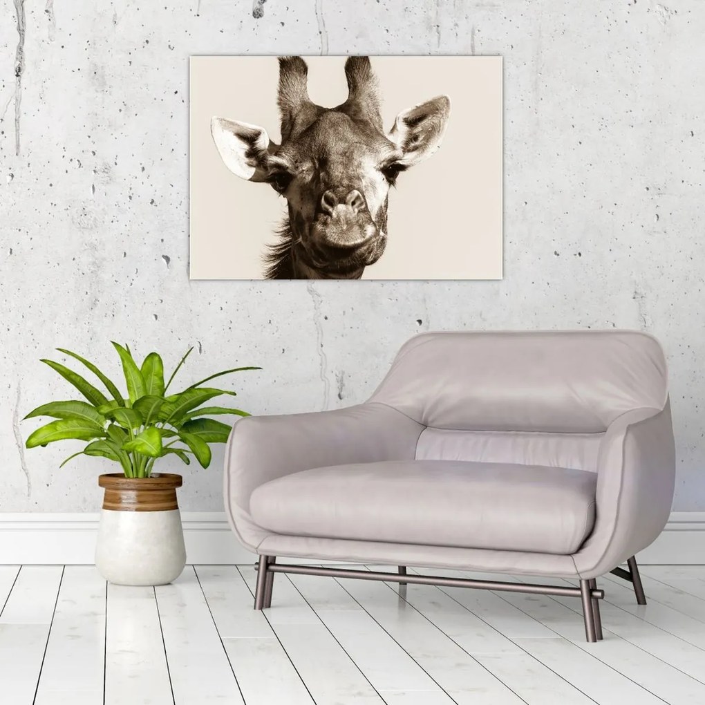 Tablou pe sticlă - Portret de girafă, de epocă (70x50 cm)
