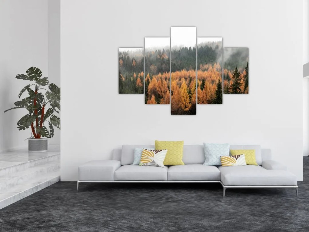 Tablou - Pădure toamna (150x105 cm)