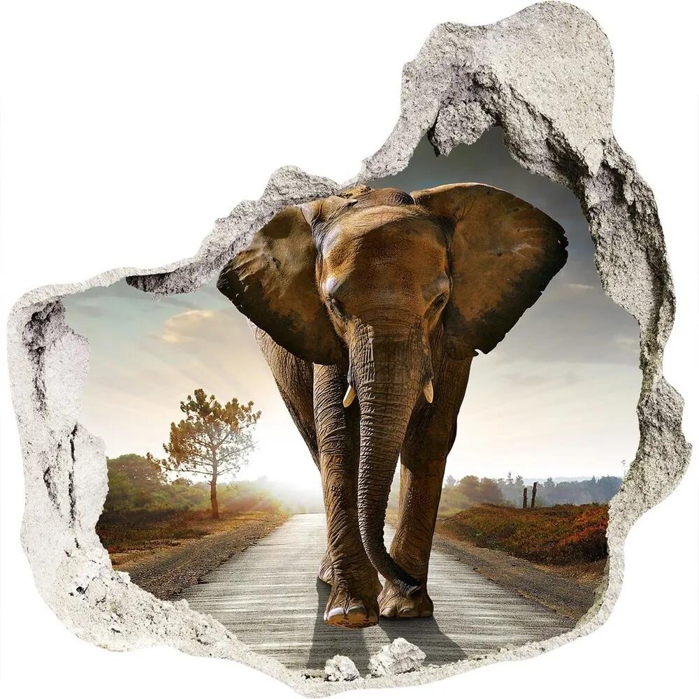 Autocolant de perete gaură 3D Elefant de mers pe jos