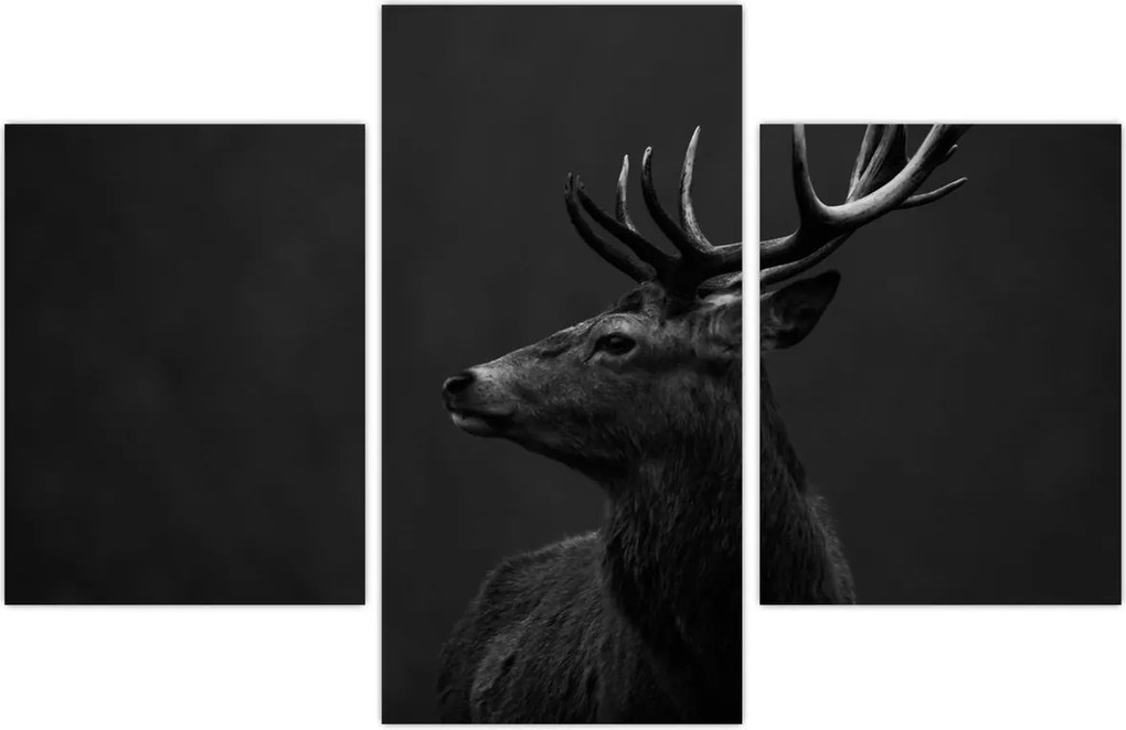 Tablou - Portret de căprioară (90x60 cm)