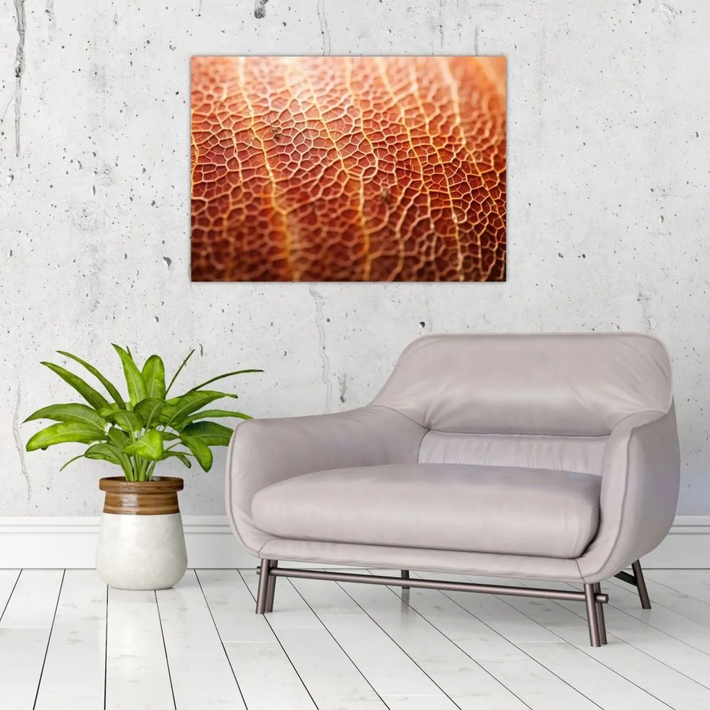 Tablou - Detaliu de textură (70x50 cm)