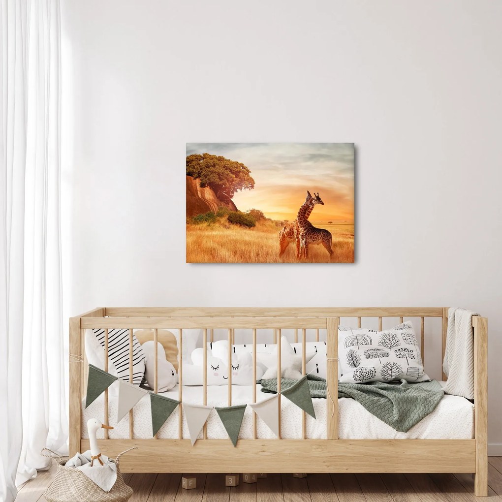 Tablou Girafe în Africa (70x50 cm)