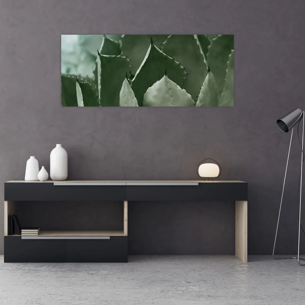 Tablou - Agave verde (120x50 cm)