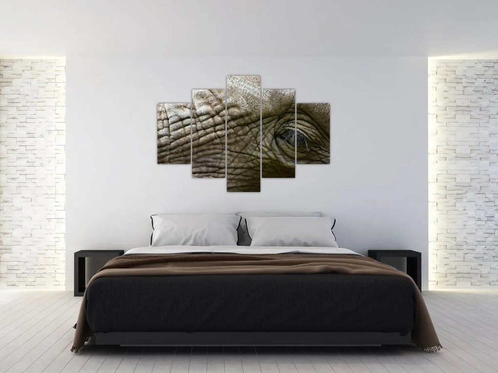 Tablou - Prim-planul ochiului de elefant vechi (150x105 cm)