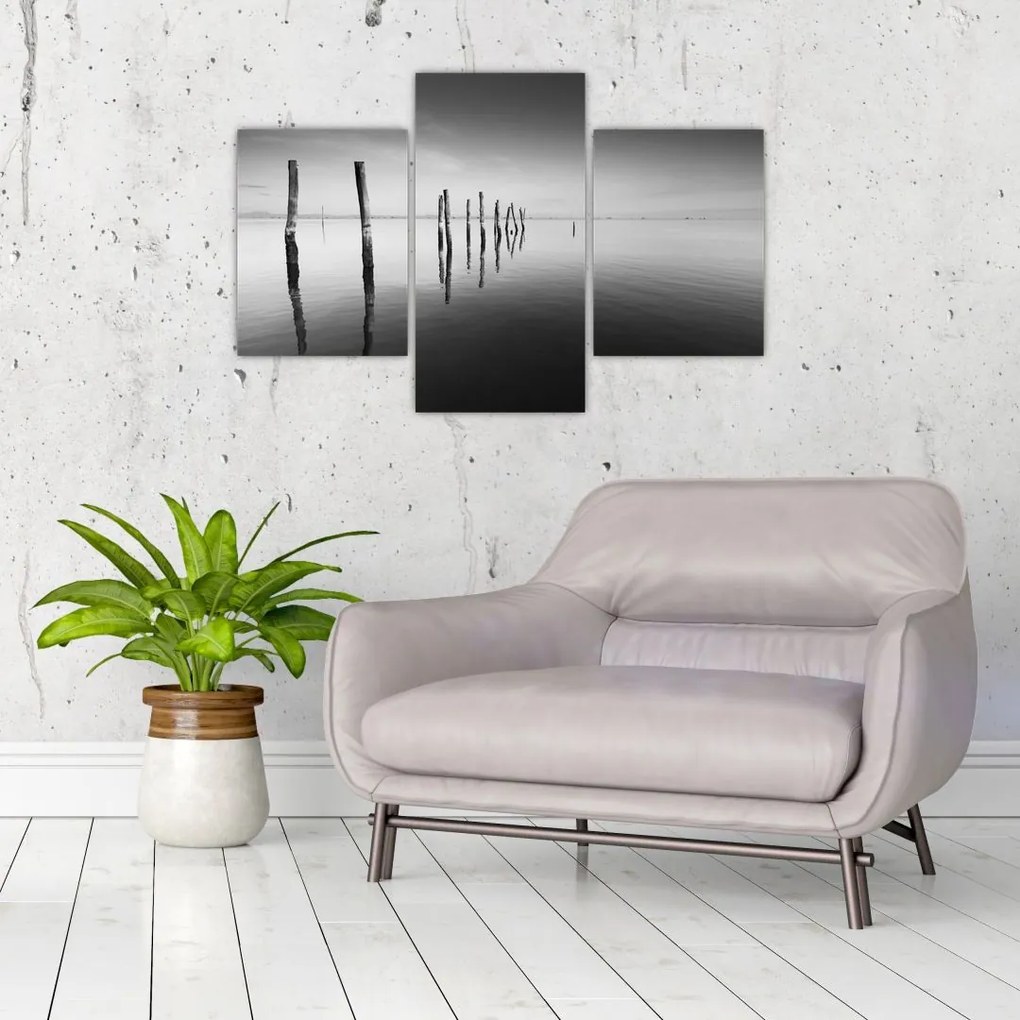 Tablou cu nivelul de lac alb negru (90x60 cm)