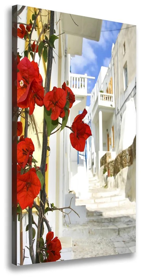 Tablou pe pânză Mykonos Grecia