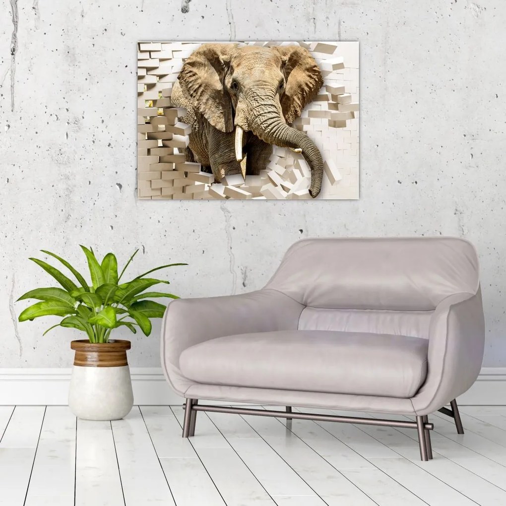 Tablou pe sticlă - Elefant spârgând peretele (70x50 cm)