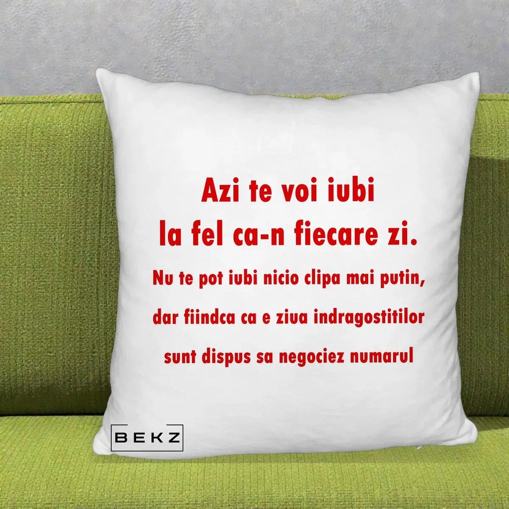 Cadou pentru Iubita - Perna Personalizata Azi Te Voi Iubi, 40x40 cm, Alb Pufos, Husa Detasabila, Perna Inclusa, BEKZ®
