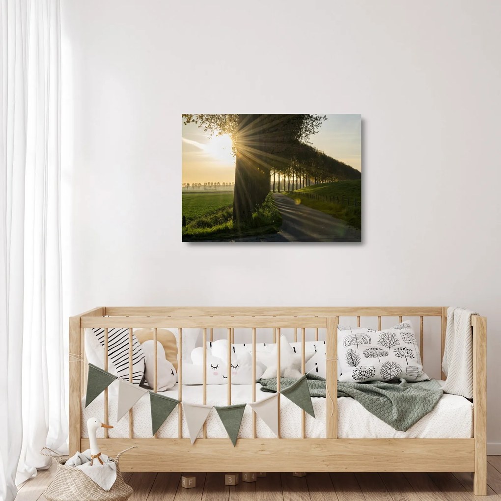 Tablou pe sticlă cu alee (70x50 cm)