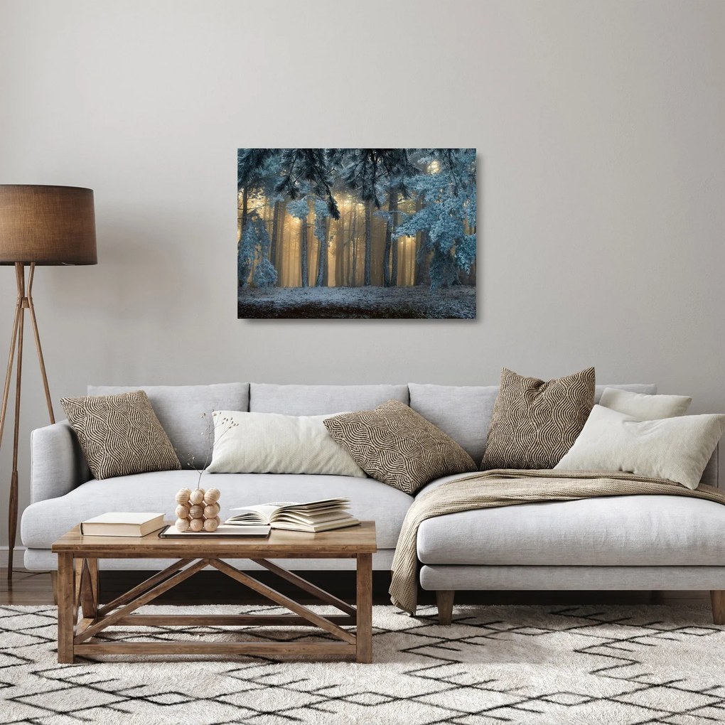 Tablou pe sticlă cu pădure înzăpezită (70x50 cm)