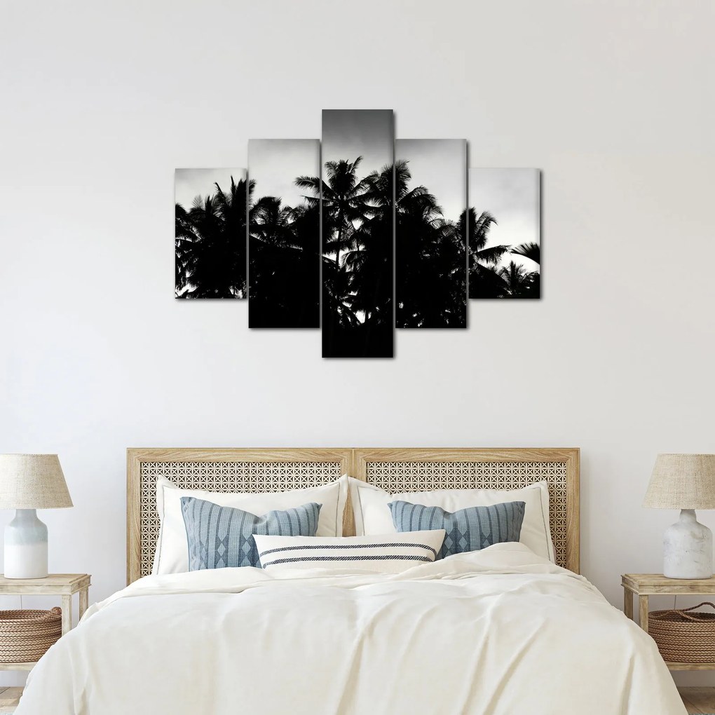 Tablou alb negru - palmieri (150x105 cm)