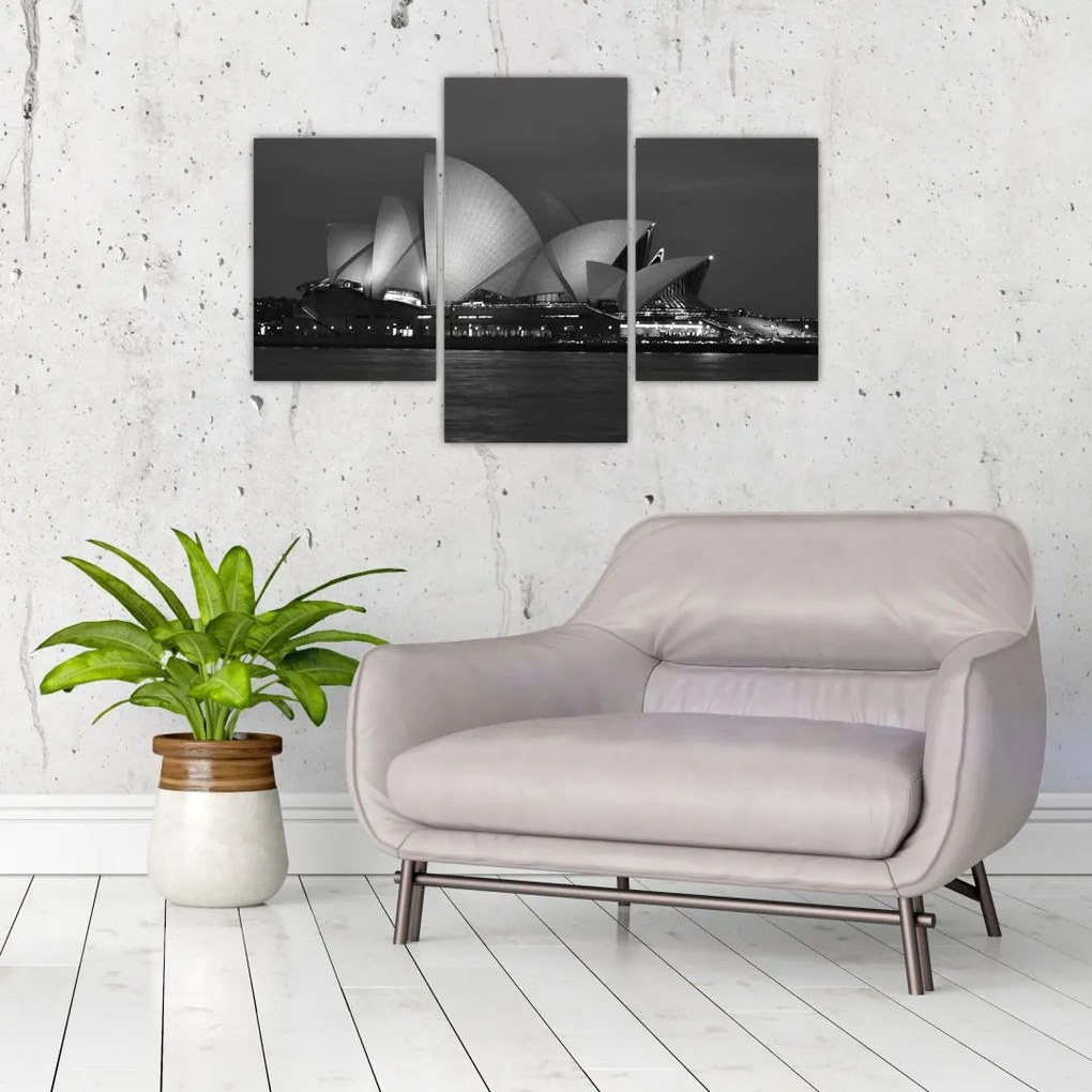 Tablou cu Opera din Sydney (90x60 cm)