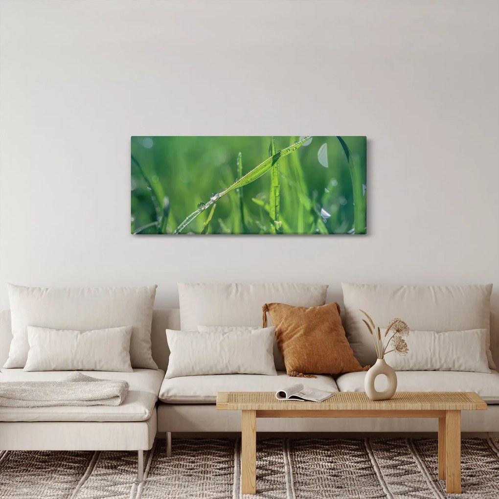 Tablou cu picături de rouă (120x50 cm)