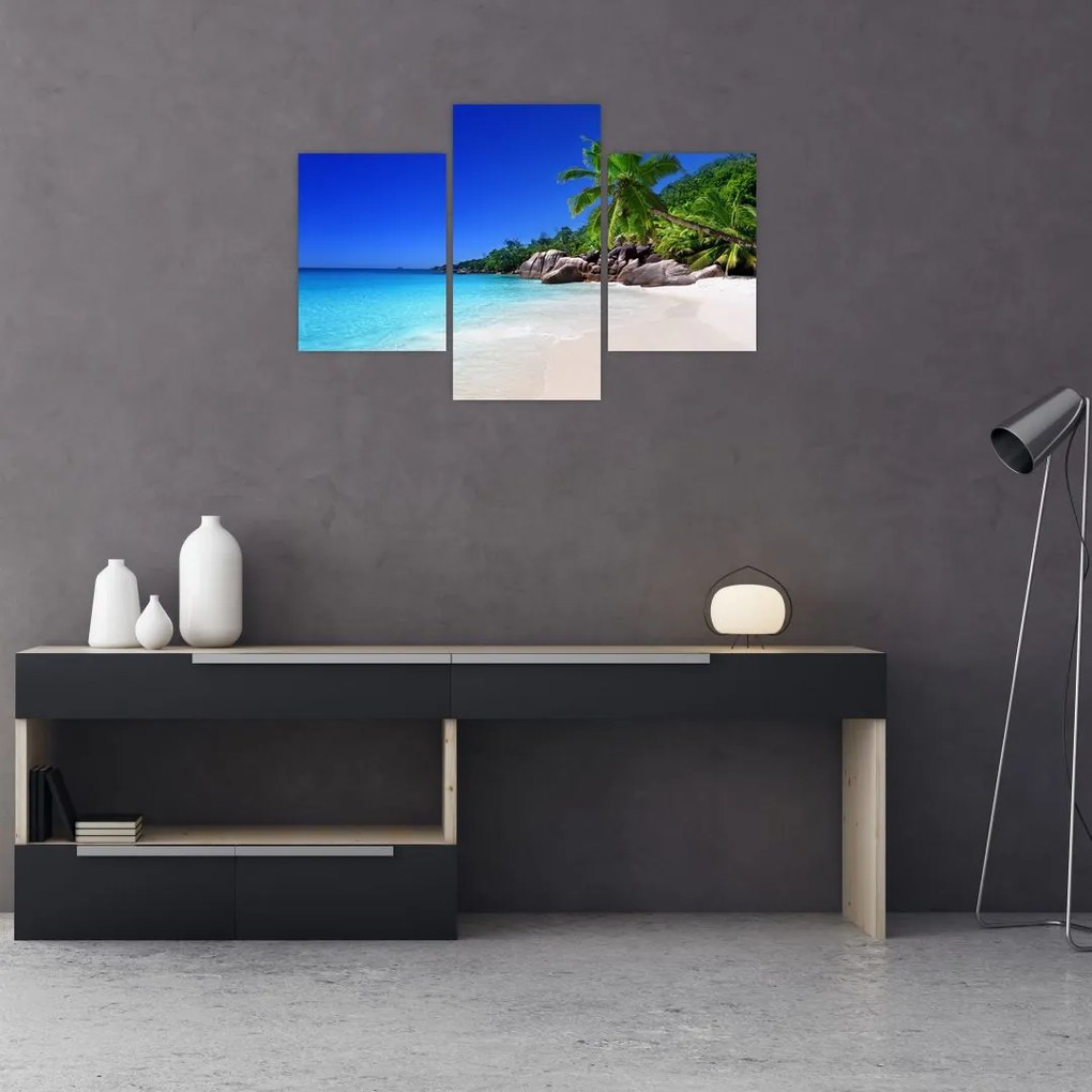 Tablou cu plaja pe insula Praslin (90x60 cm)