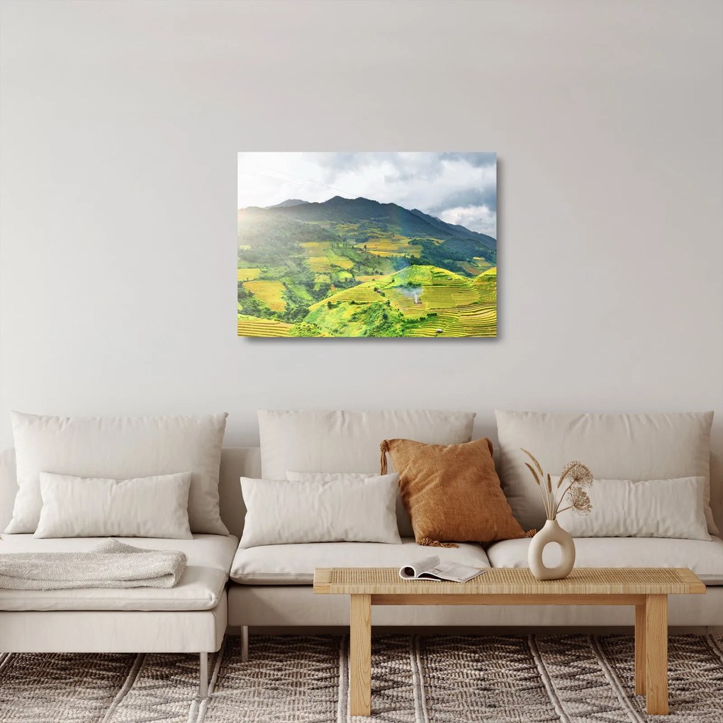 Tablou pe sticlă plantație (70x50 cm)