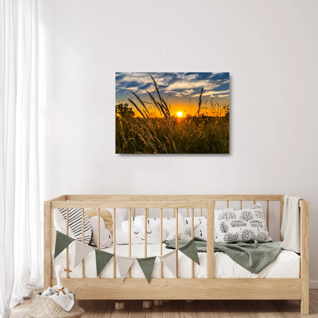 Tablou pe sticlă cu câmp în apus de soare (70x50 cm)