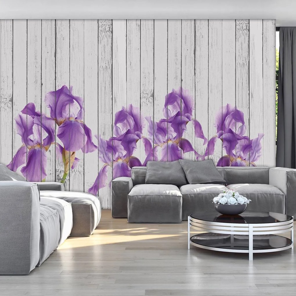 Fototapet - Iris pe scănduri de lemn (254x184 cm)