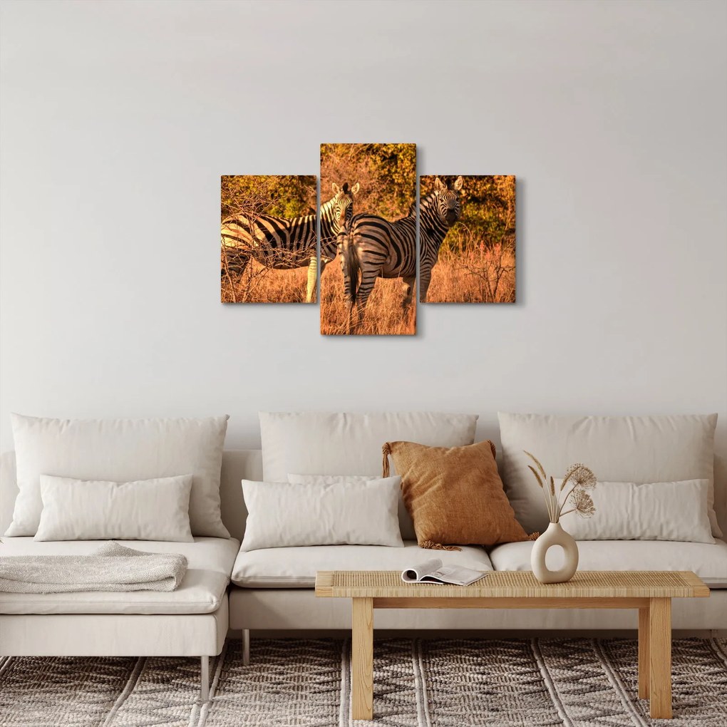 Tablou cu zebre (90x60 cm)
