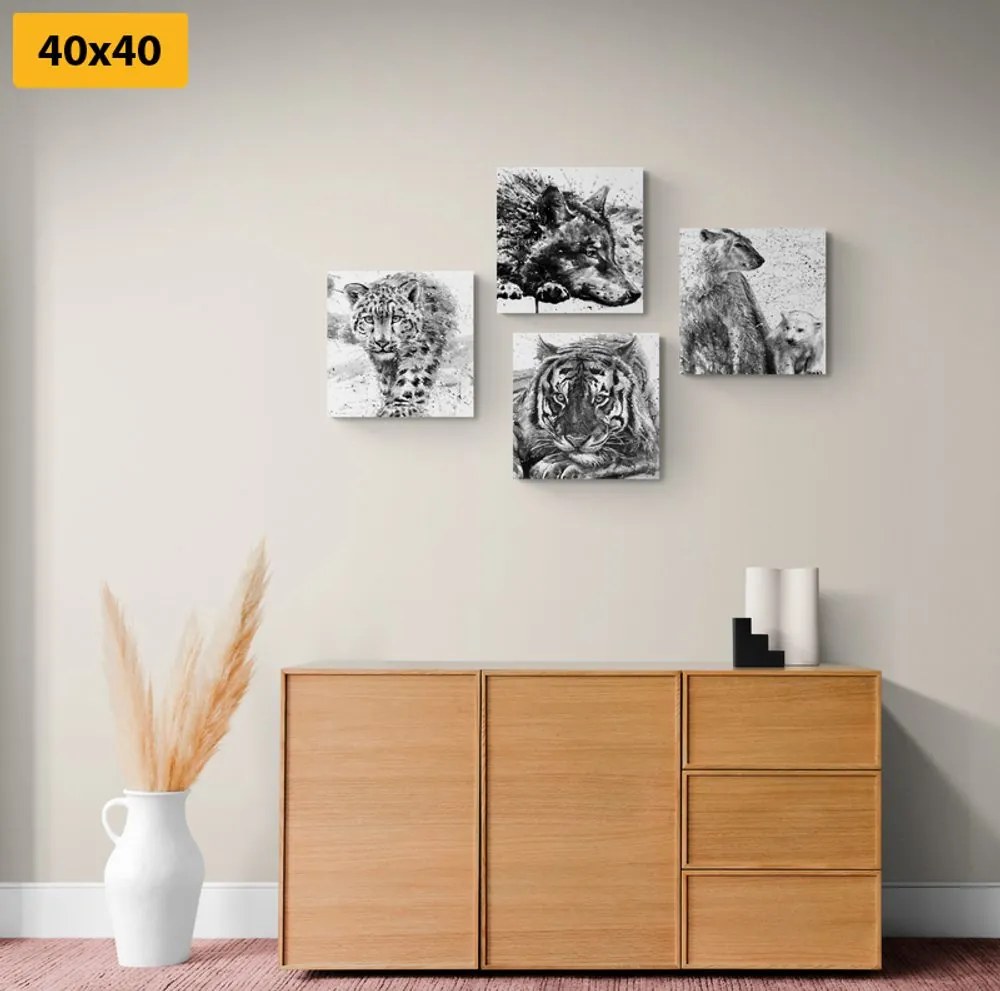 Set tablouri animale în design alb-negru de acuarelă