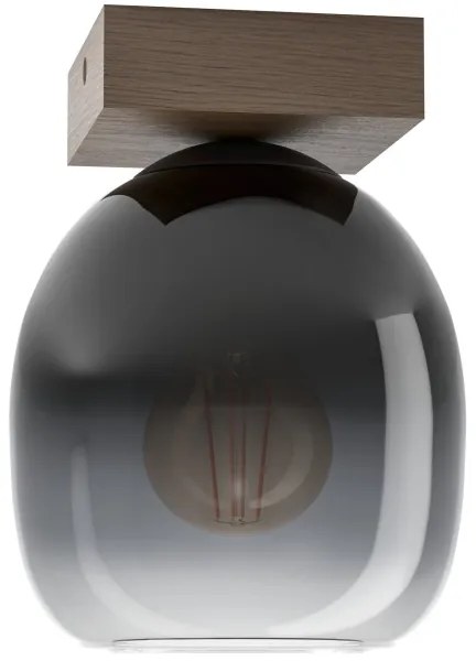 Plafonieră FILAGO Eglo 900825 1xE27/40W/230V