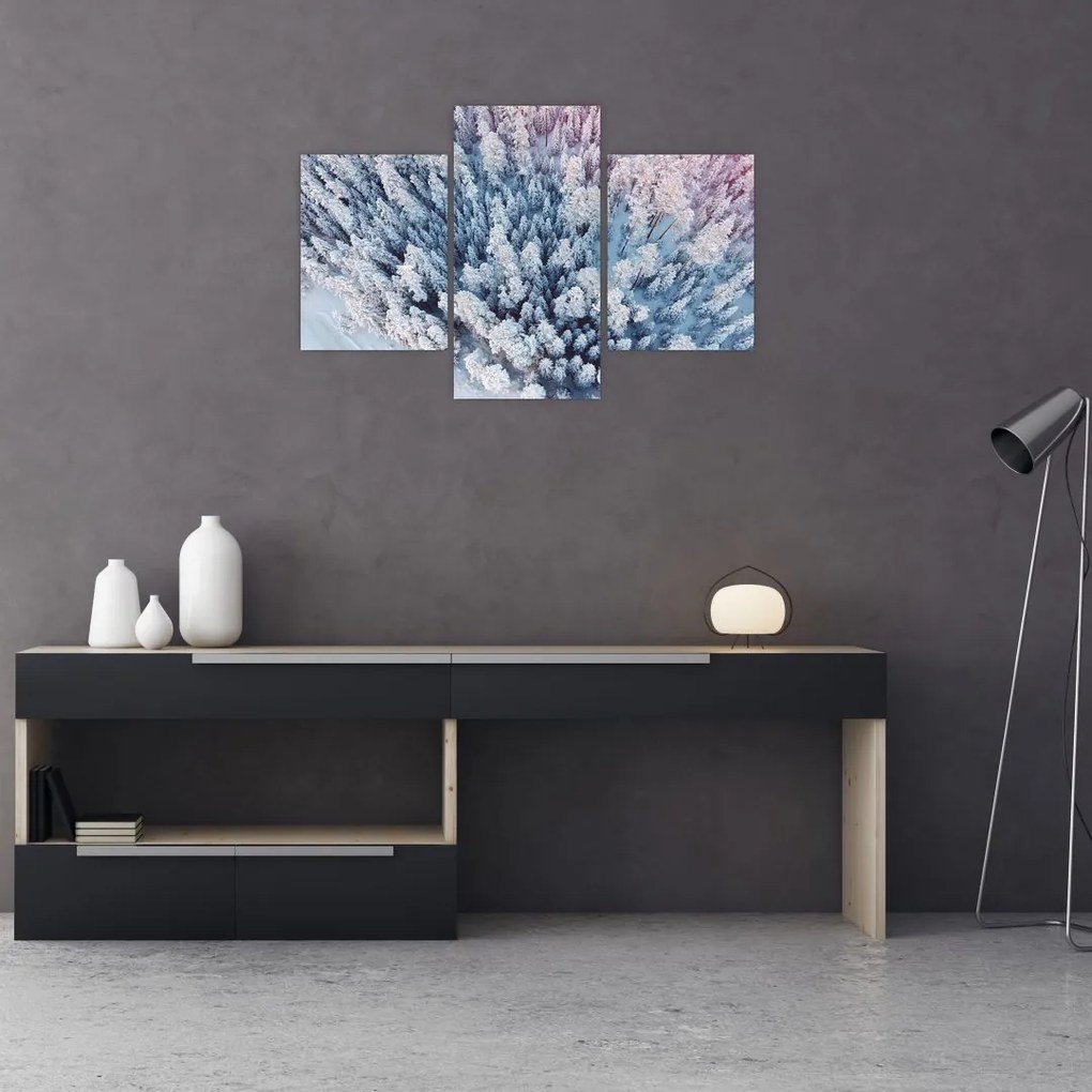 Tablou cu copaci înzăpeziți (90x60 cm)