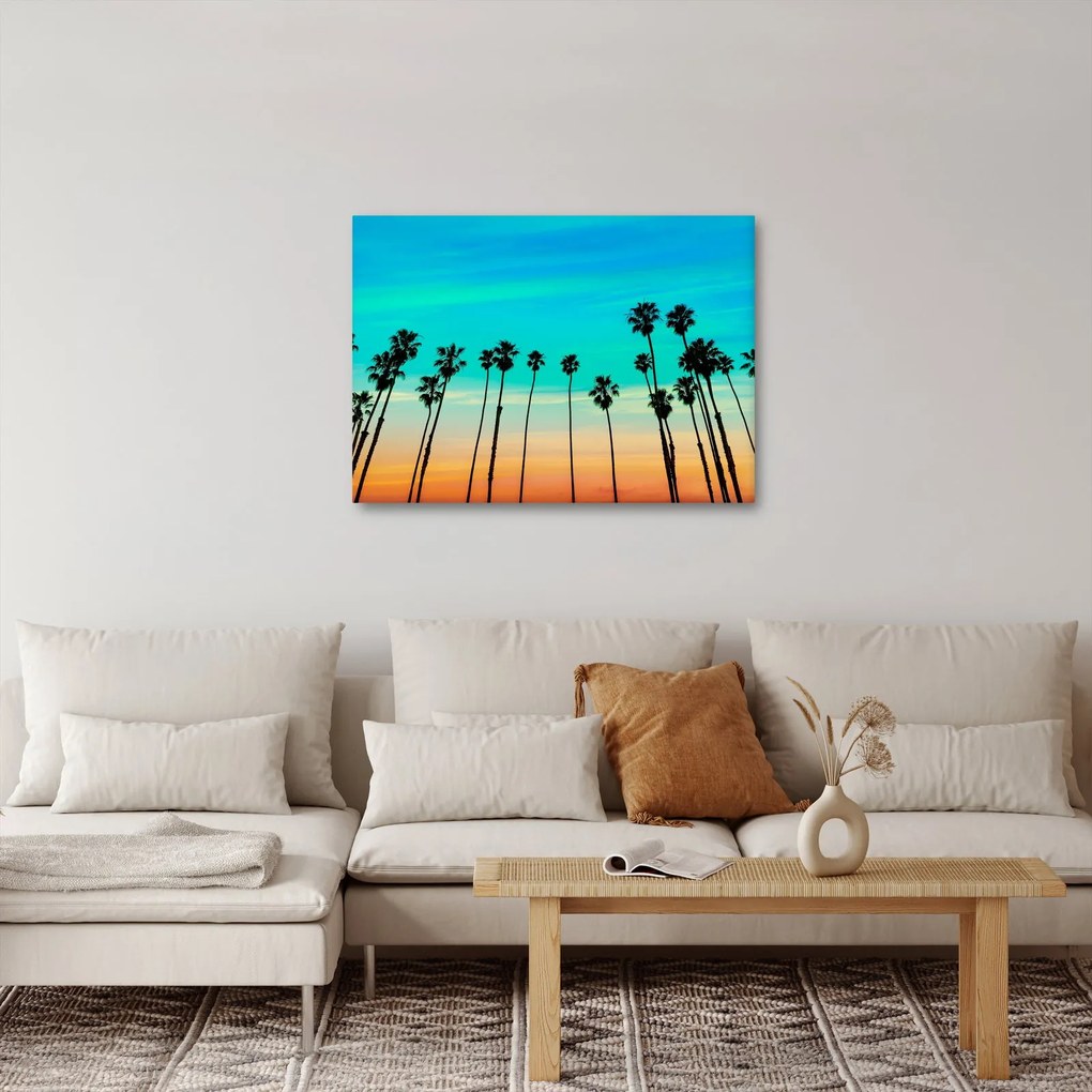 Tablou - California (70x50 cm)