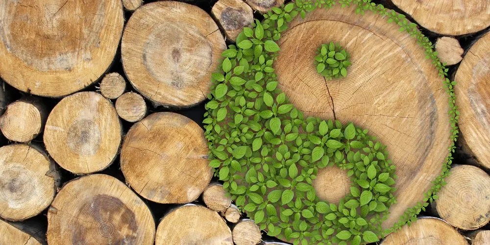 Tablou Yin și Yang într-un design ecologic