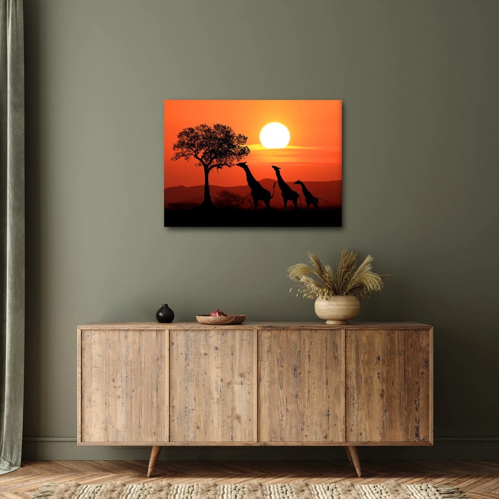 Tablou cu girafe în apus de soare (70x50 cm)
