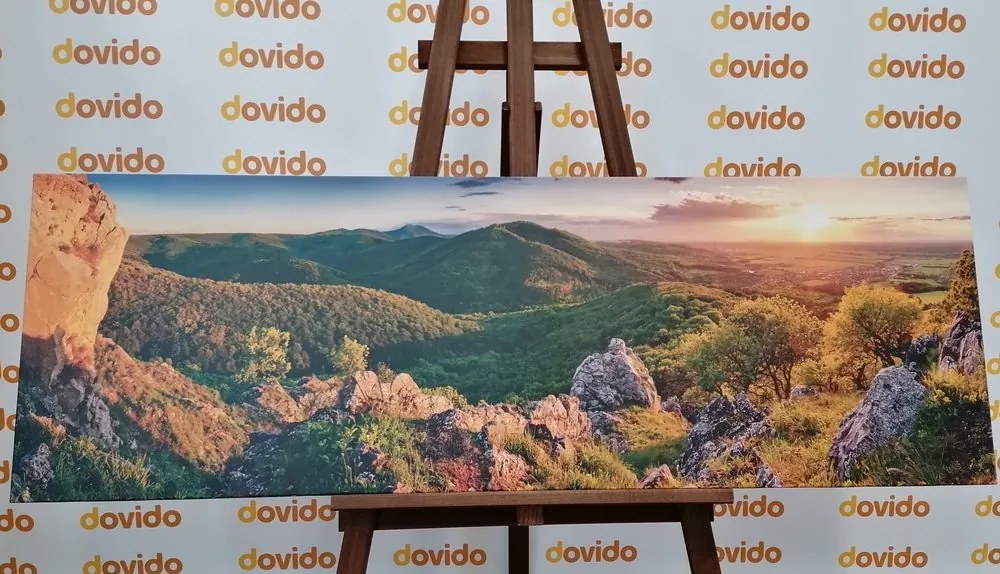 Tablou natura scufundată în soare
