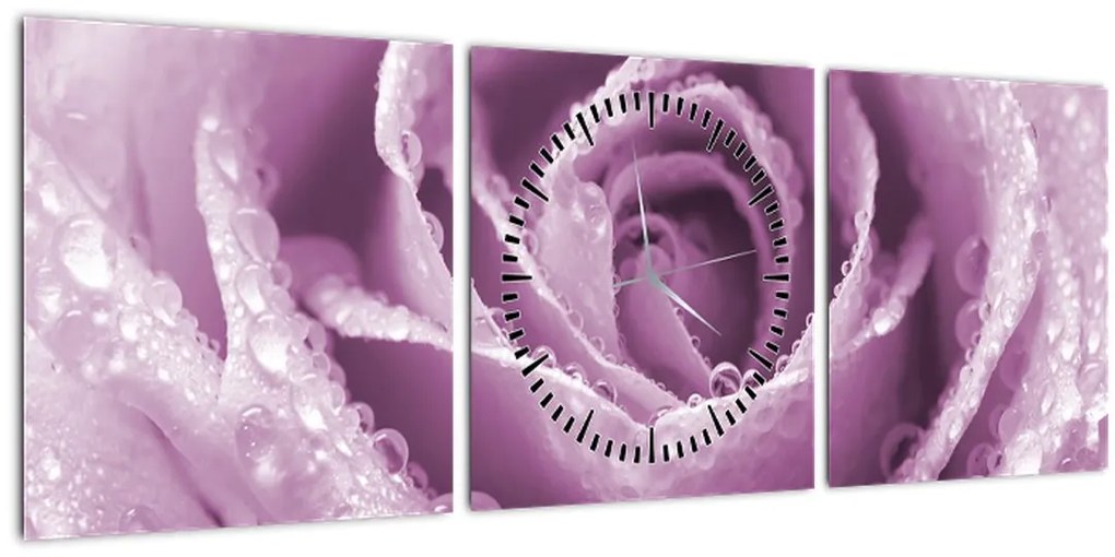 Tablou detaliu de floare de trandafir (cu ceas) (90x30 cm)