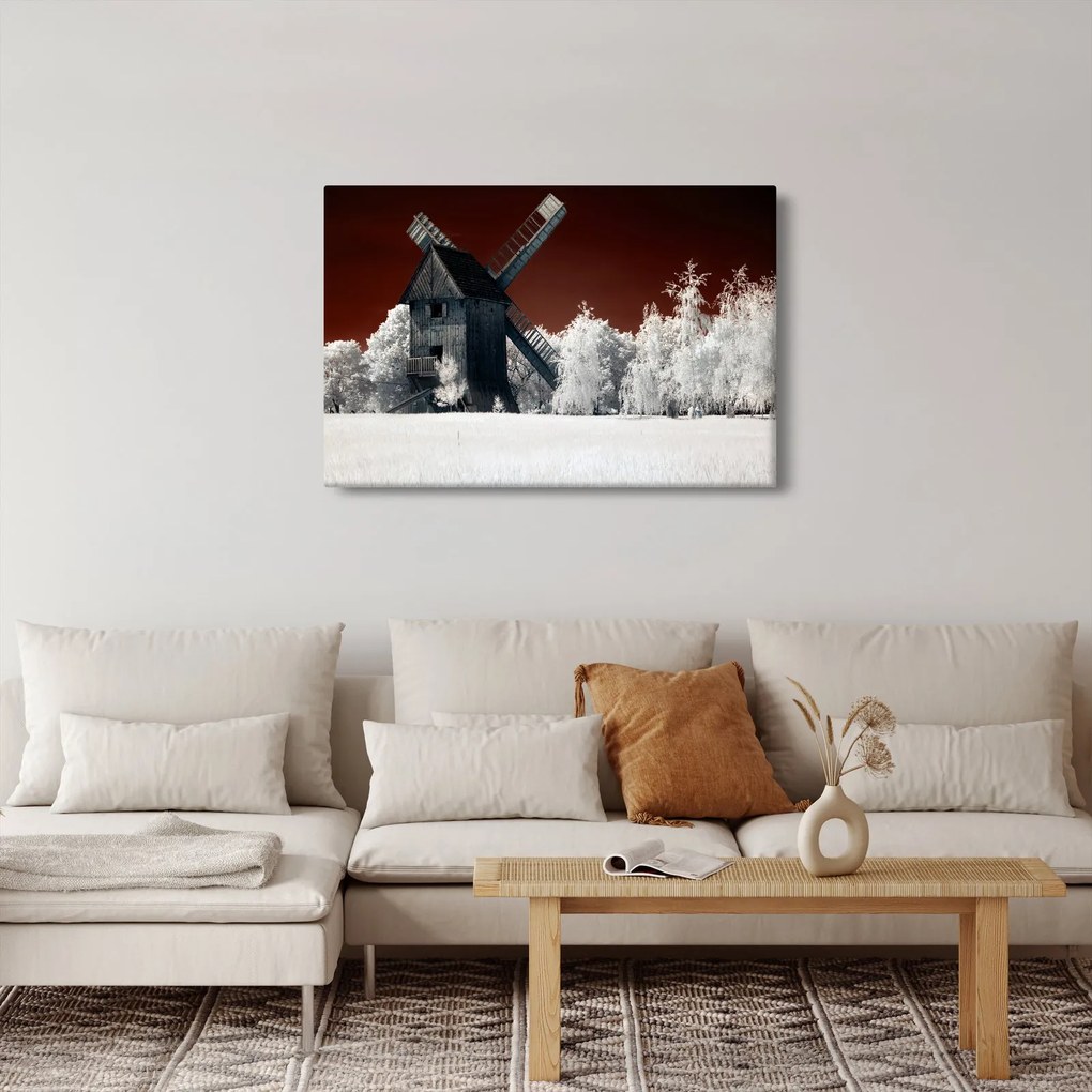 Tablou cu moară (90x60 cm)