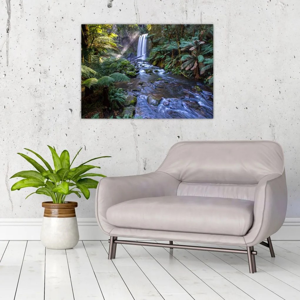 Tablou cu pădurea ploilor din Austalia (70x50 cm)