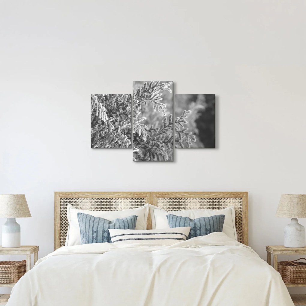 Tablou - Pădure de molid (90x60 cm)