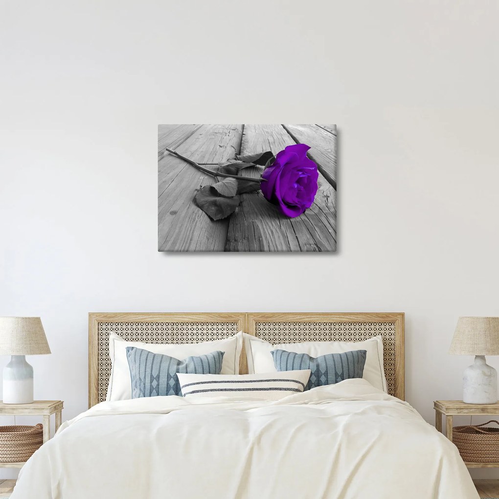 Tablou - Trandafir violet cu tulpina verde (70x50 cm)