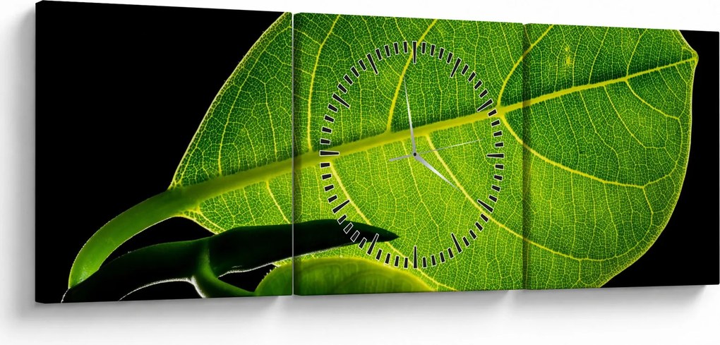 Tablou - frunză verde (cu ceas) (90x30 cm)