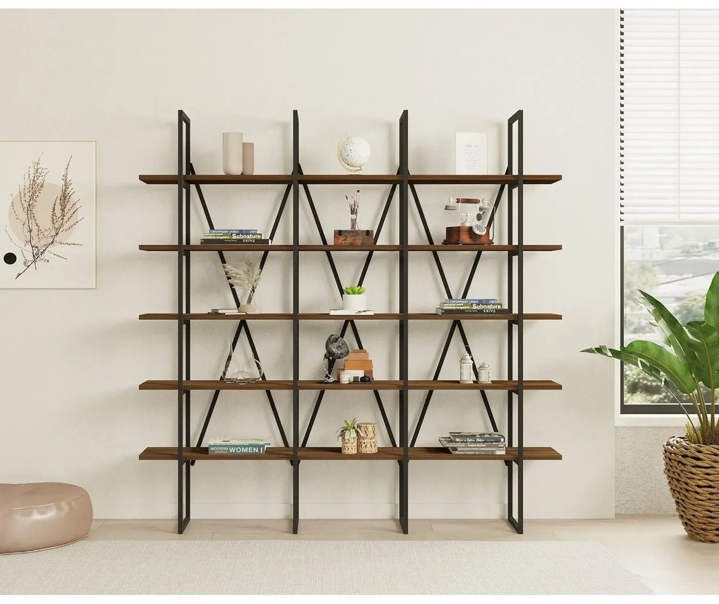 Biblioteca Beylerbeyi Walnut